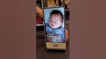 Looking Glass 3D display