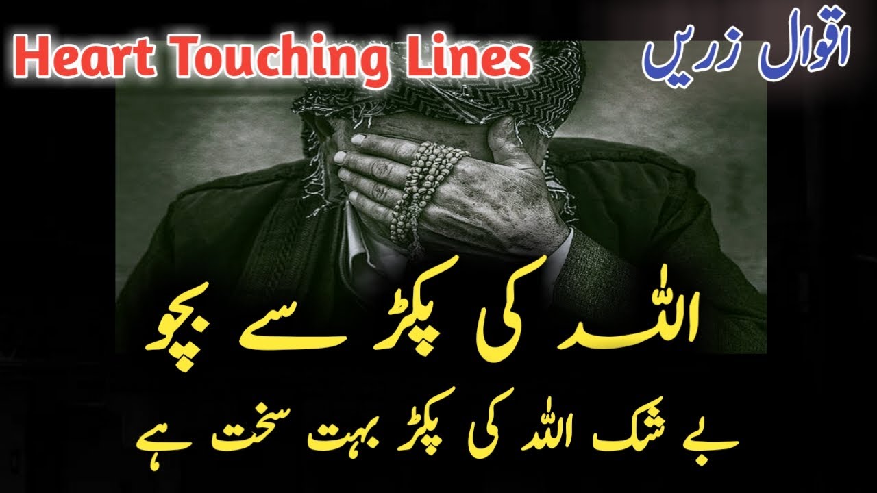 Allah Ki Pakar Sa Daro  | Islamic Quotes | Allaha Ki pakad Status | Shazu Poetry & Quotes