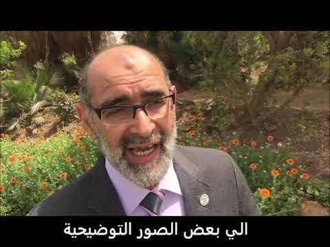 002 شطر الرحم نصف الرحم المفيد في طب النساء والتوليد