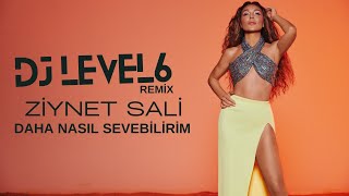 Ziynet Sali - Daha Nasıl Sevebilirim ( Dj Level6 Remix ) Resimi