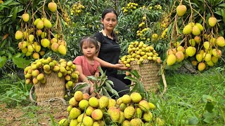 Single mother: harvests lychees to sell at the marketDaily life