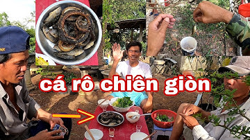 NTTV | đi câu cá rô đồng chiên giòn quá ngon cùng với anh em