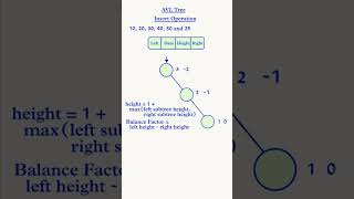 AVL Tree Insertion EXPLAINED Easily in 80 Seconds #shorts #algorithms #dsa