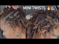 Mini Twists on Natural Hair