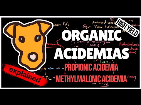 Organic acidemias. Mechanism of Methylmalonic and Propionic acidemias. for Step 1