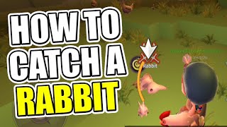 Islet Online | How to catch a Rabbit | Craft Online #JaniiClaw #isletonline screenshot 3