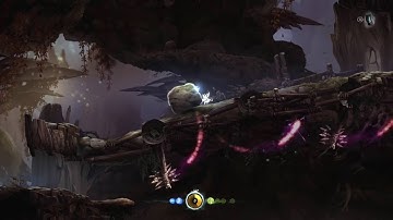 Ori and the Blind Forest: Definitive Edition #3