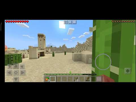 1 ეპიზოდი სოფელში