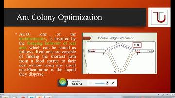 Ant Colony Optimization For Job Shop Scheduling