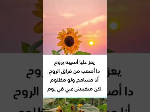 كلمات اغنيه مسلم متزعلش