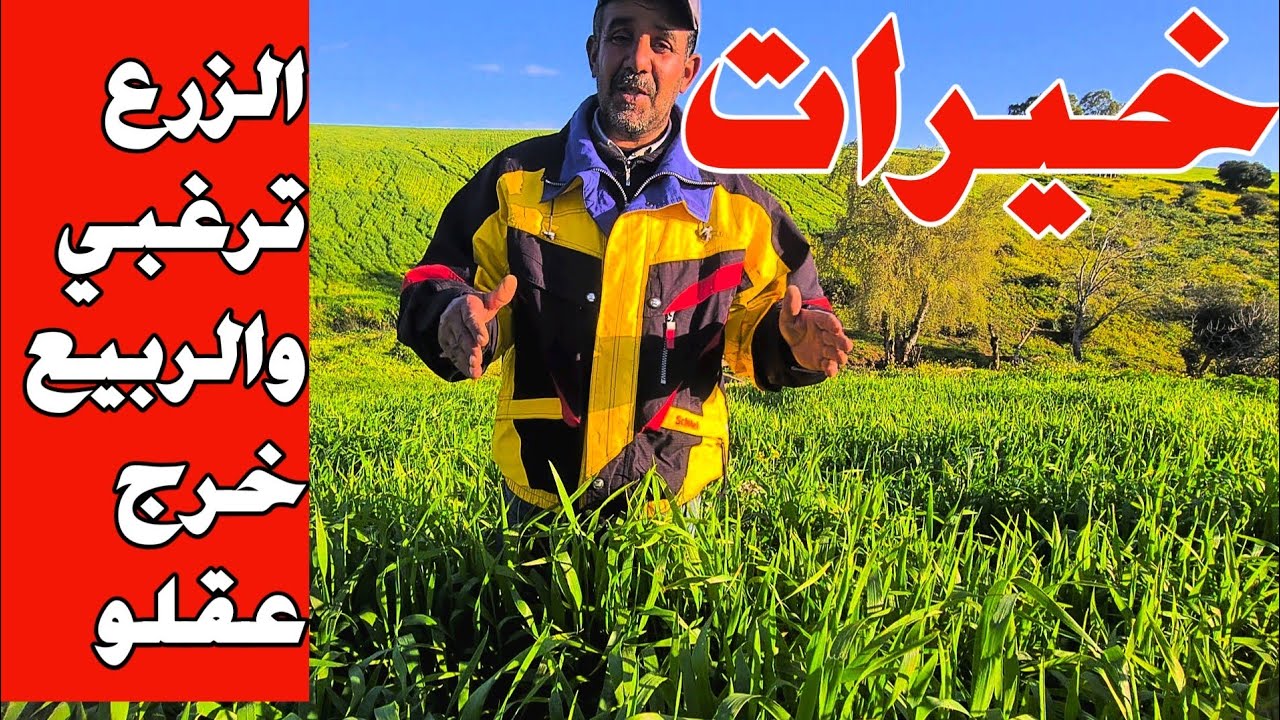 خيرات الزرع تيغبي والربيع خرج عقلو والشتاء داخلا ان شاءالله 