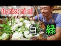 florist vlog 2022 #18【みんな大好き白グリーンフラワーアレンジメント】White green flower arrangement that everyone loves