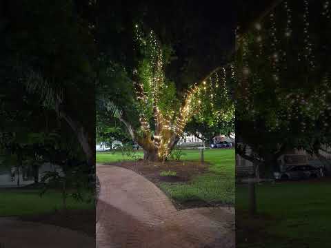 Las Tardes Afortunadas de Taj Mahal Casino