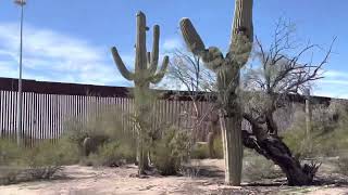 USA Mexico Border Fence & Cactus Scenery - S. Puerto Blanco Drive