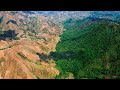 Почему на западе острова Гаити лес не растет, а на востоке густые джунгли?
