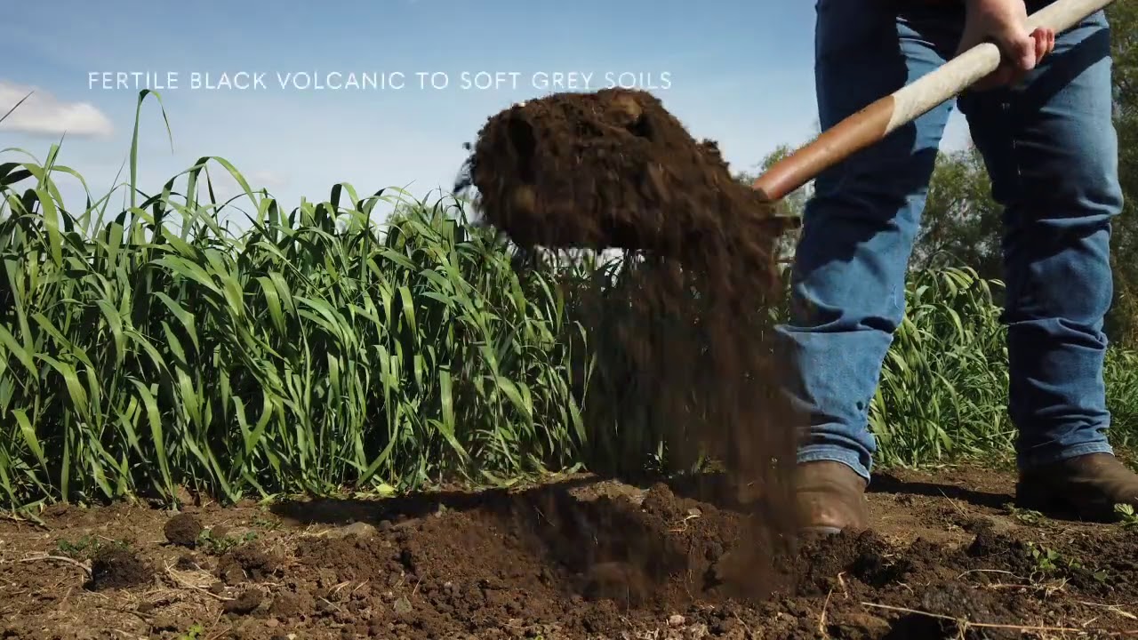 ‘Cawdor’, Darling Downs, Queensland