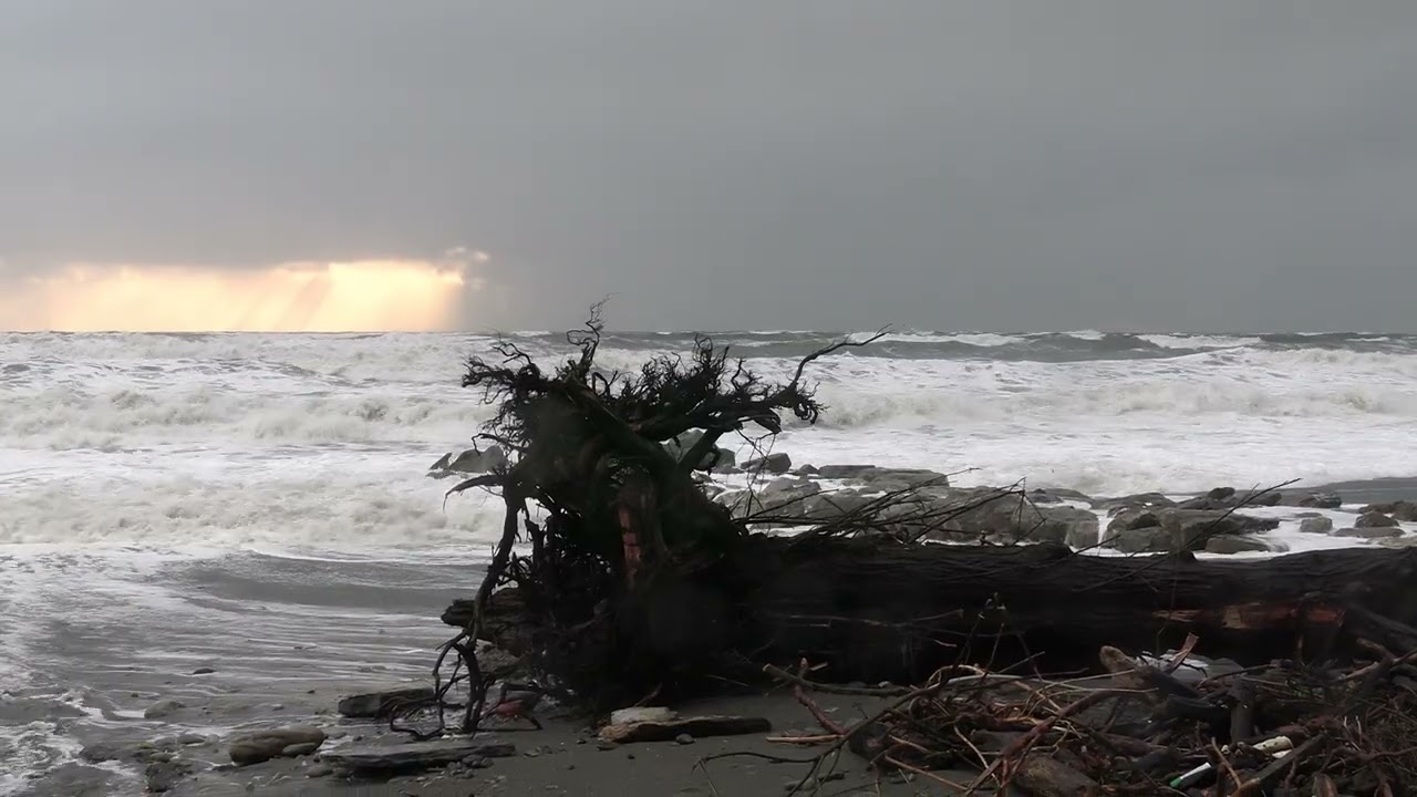 Шторм в Сочи 19 февраля 2026 года.