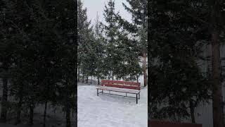 2024-03-02 Снегопад в марте / Snowfall in March , −5°С, Братск, Сибирь, Россия