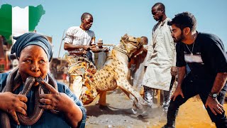 رجال الضبع في نيجيريا الأغرب بالعالم - The Hyena Men 🇳🇬