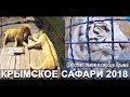 Парк львов Тайган 🔴 Царство львов в сердце Крыма 🔴 Крымское сафари 2018