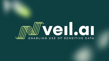 VEIL.AI - Enable the safe use of sensitive data with next-generation anonymization