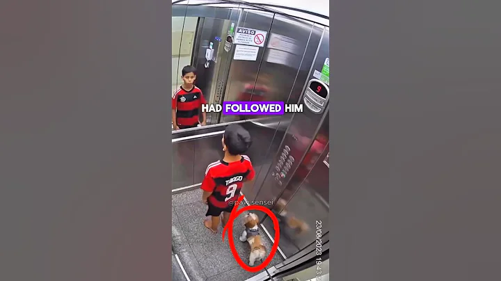 Young kid saves dogs life #shorts