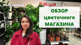 ОБЗОР цветочного магазина / Как выглядит магазин растений в Финляндии