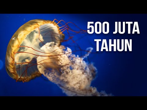 Video: Dinosaur Berusia 20 Juta Tahun Lebih Tua Daripada - Pandangan Alternatif