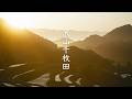 Oyama Senmaida Rice Terraces Sunrise - Chiba - 大山千枚田
