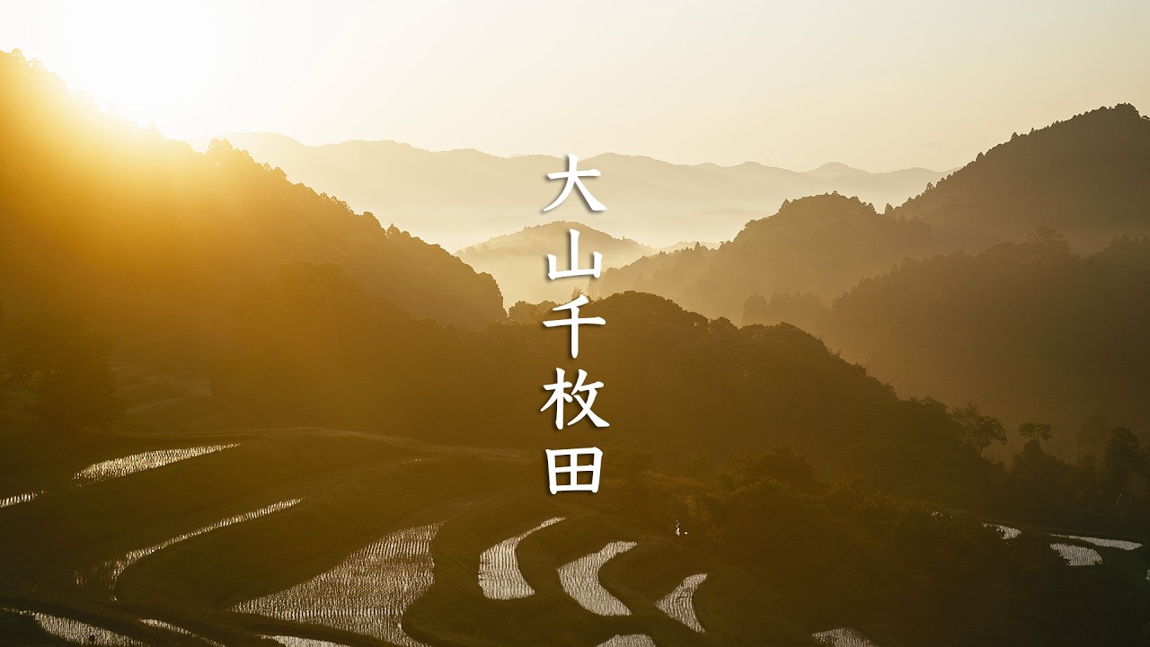 Oyama Senmaida Rice Terraces Sunrise - Chiba - 大山千枚田