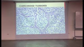 RS-Patho: Lung Cancer 2