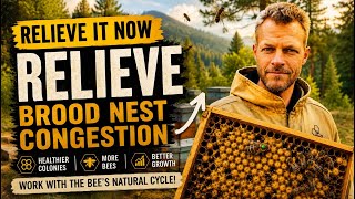 Relieving Brood Nest Congestion, Superseder Prevention