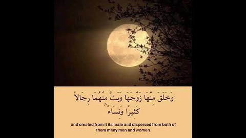 ارح سمعك: تلاوة هادئة تريح القلب والعقل😴❣بصوت احمد العجمي💙🌴حالات واتس اب دينية تلاوة خاشعة