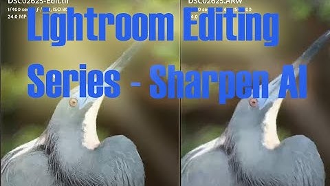 Lightroom Editing Series - How to use the Topaz Sharpen AI plugin to sharpen your nature photographs