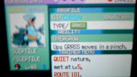 Shiny Grovyle and Shiny Sceptile!!