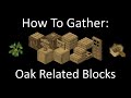 Minecraft Tutorial - How to gather: Oak Related Blocks