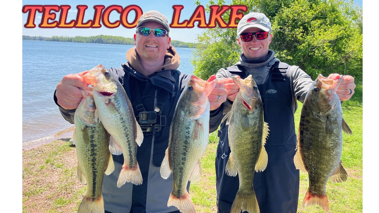 Tellico Lake Bass Fishing April 12, 2025