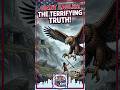 The Terrifying Truth About Giant Eagles. #shorts  #roblox #facts #usa #usarantzone