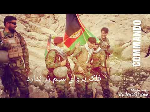 فلک پروای پیغمبر ندارد اتاجکی