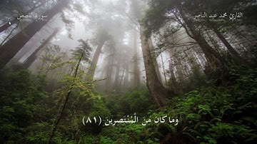 ما تيسر من سورة القصص