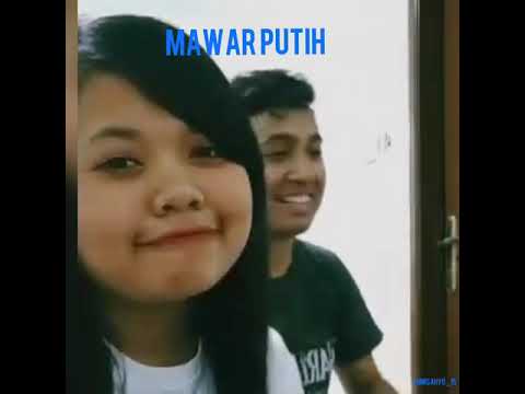 mawar-putih-dalam-satu-cinta-sampai-mati-..cover