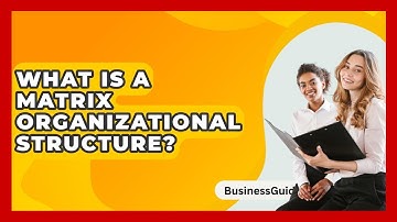 What Is A Matrix Organizational Structure? - BusinessGuide360.com