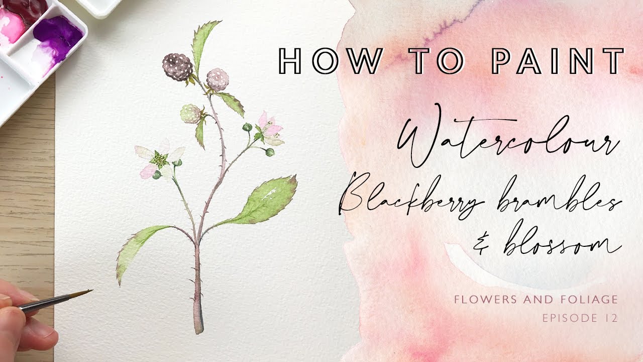 How to Paint Watercolour Blackberry Brambles and Blossom