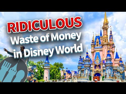 14 Ridiculous Ways People WASTE MONEY In Disney World
