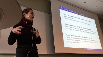 Amelia Andersdotter, Dataskydd.net