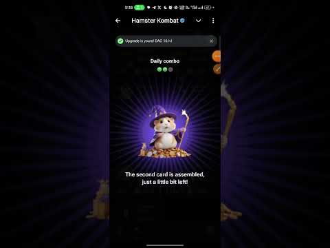 Hamster Kombat daily