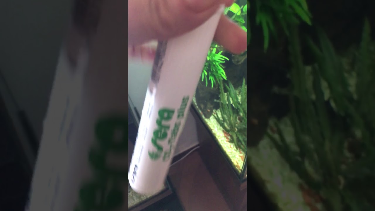 Ecco come si usano le tabs di Co2! 😉❤️🐠🥂