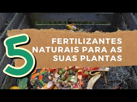 Vídeo: Cinco Fertilizantes Naturais Para Flores
