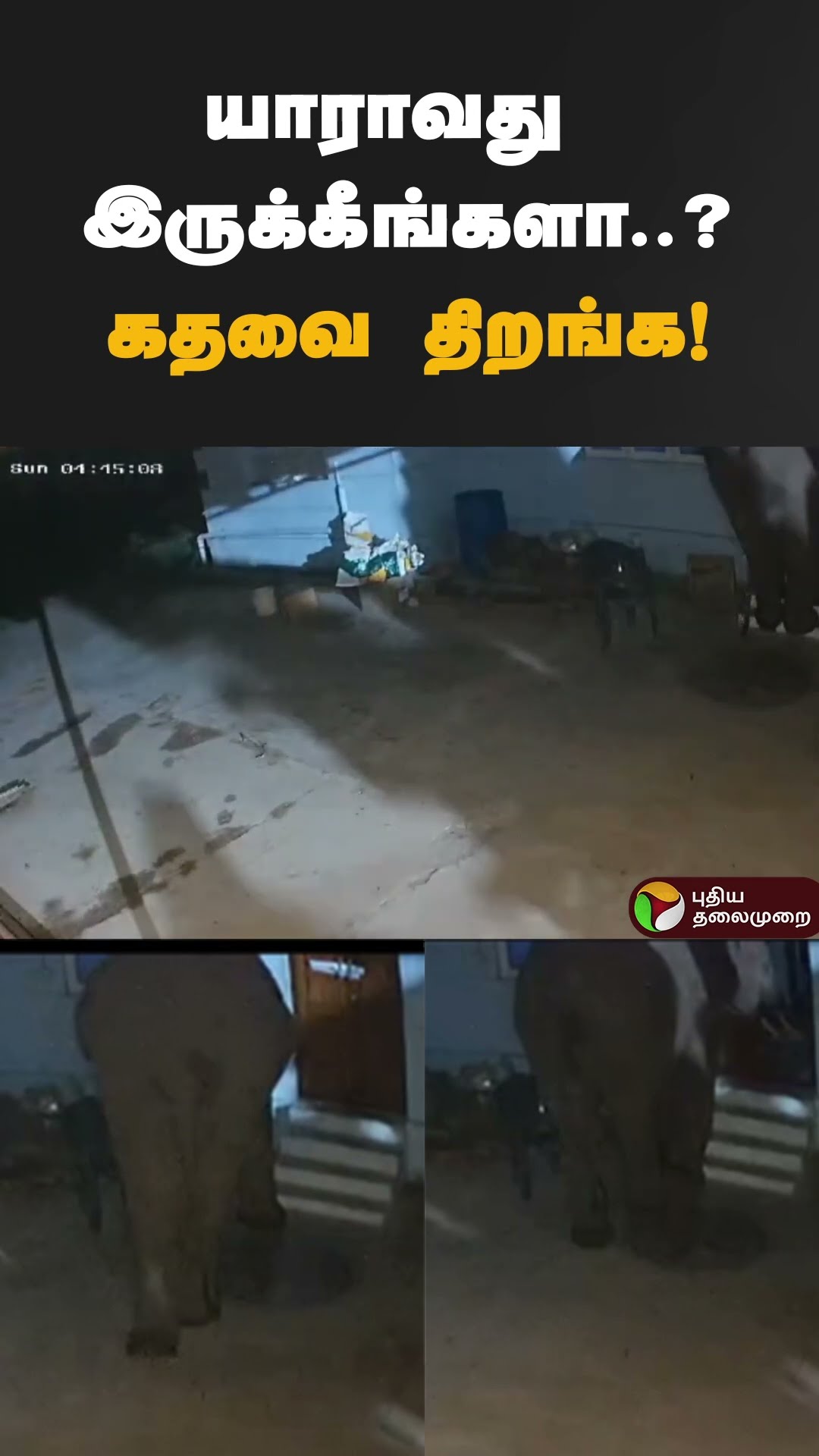 கதவில் முட்டிய காட்டு யானை  | #shorts | #coimbatore | #elephant