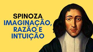 Amauri Ferreira: Spinoza - Imaginação, razão e intuição, 06/07/22
